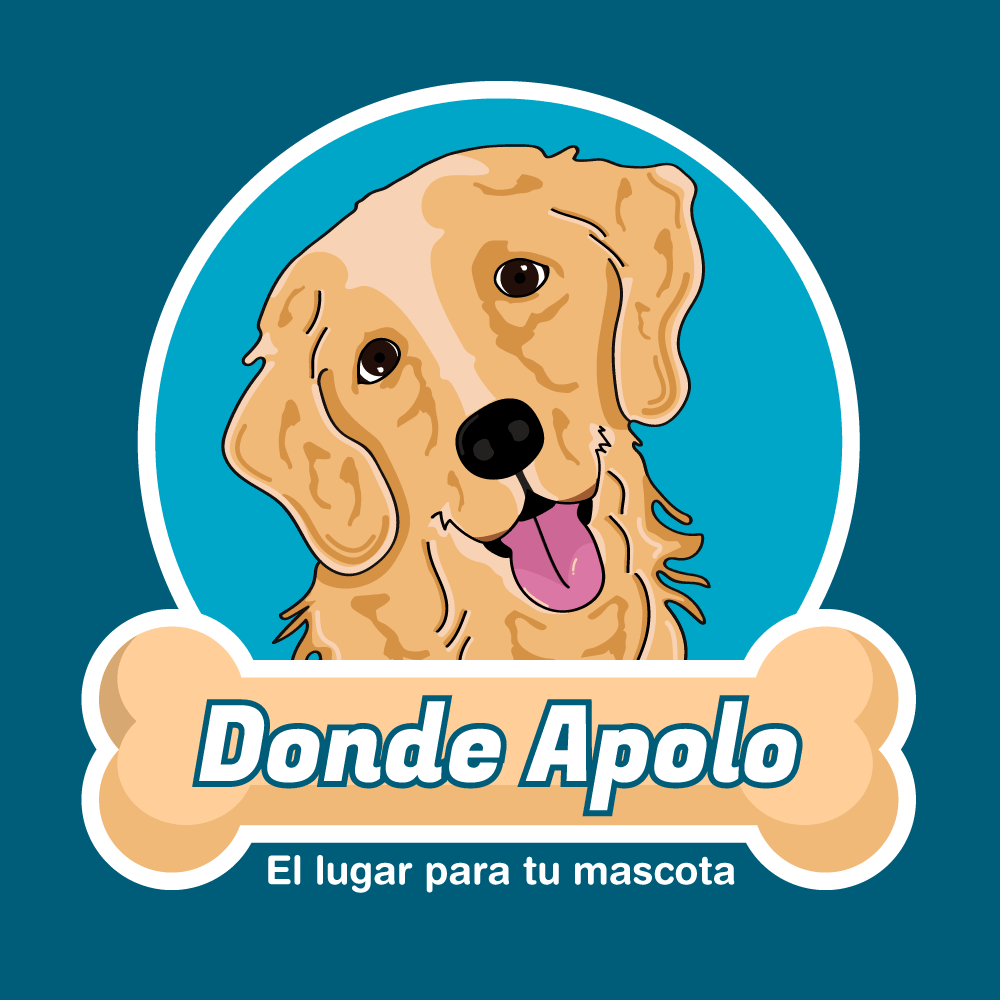 Donde Apolo